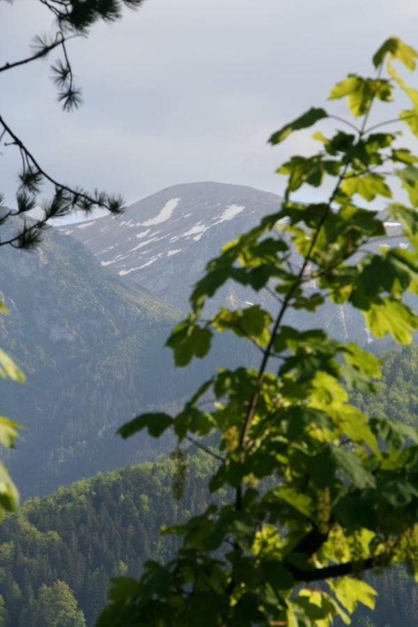Ubocz Villaer Zakopane